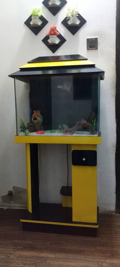 fish aquarium like new