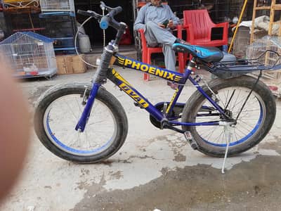 PHOENIX BICYCLE FOR SALE CONDITION NEW