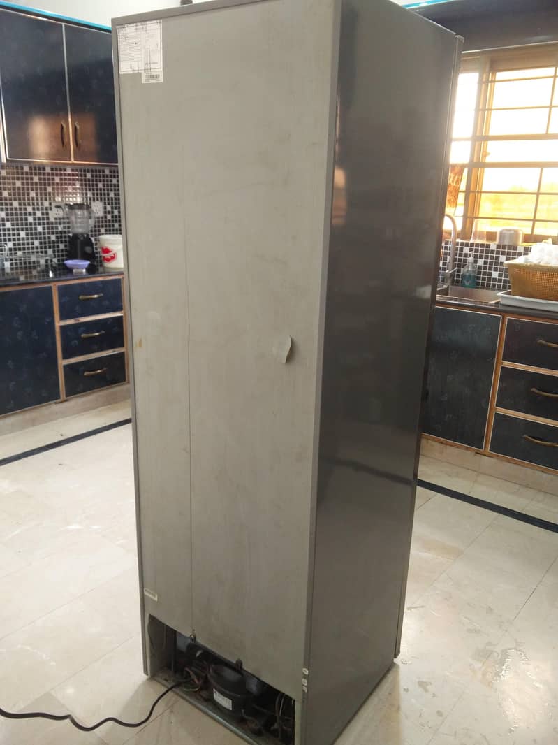Freezer vertical Type 1