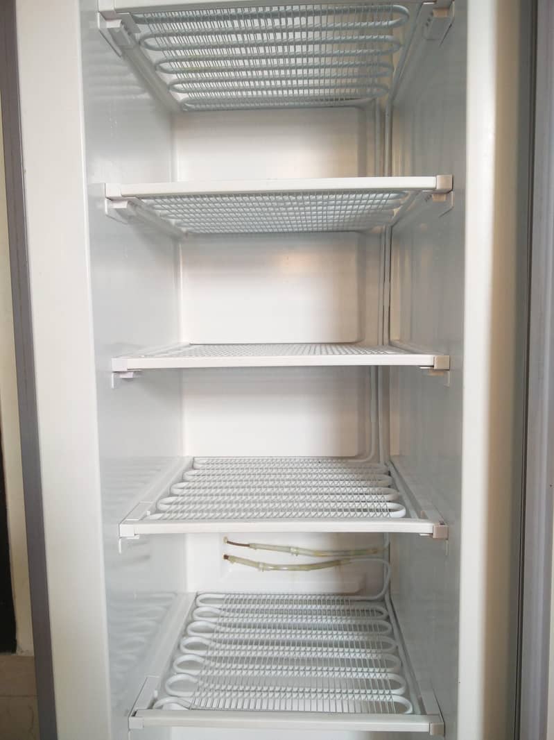 Freezer vertical Type 4