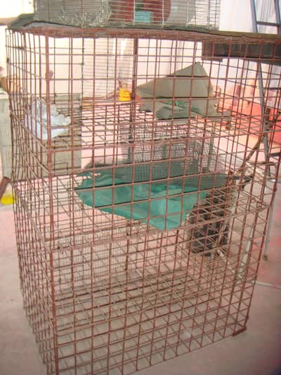 hen cage  good condition