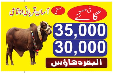 Ijtamai Qurbani (Share in Cow ,Camel and Goat ) Asan Qurbani