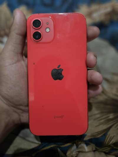 Iphone 12 Pta Approved