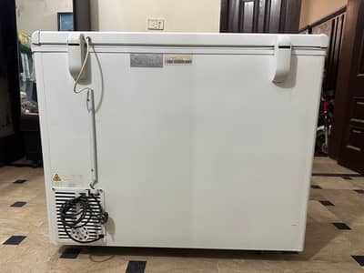 Haier single door Deep freezer
