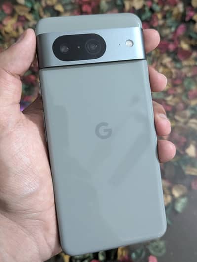 Google pixel 8 official PTA approved