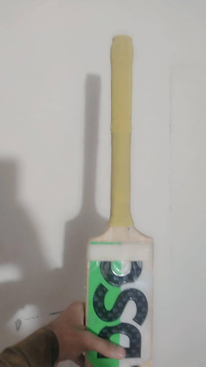 dasbat 2