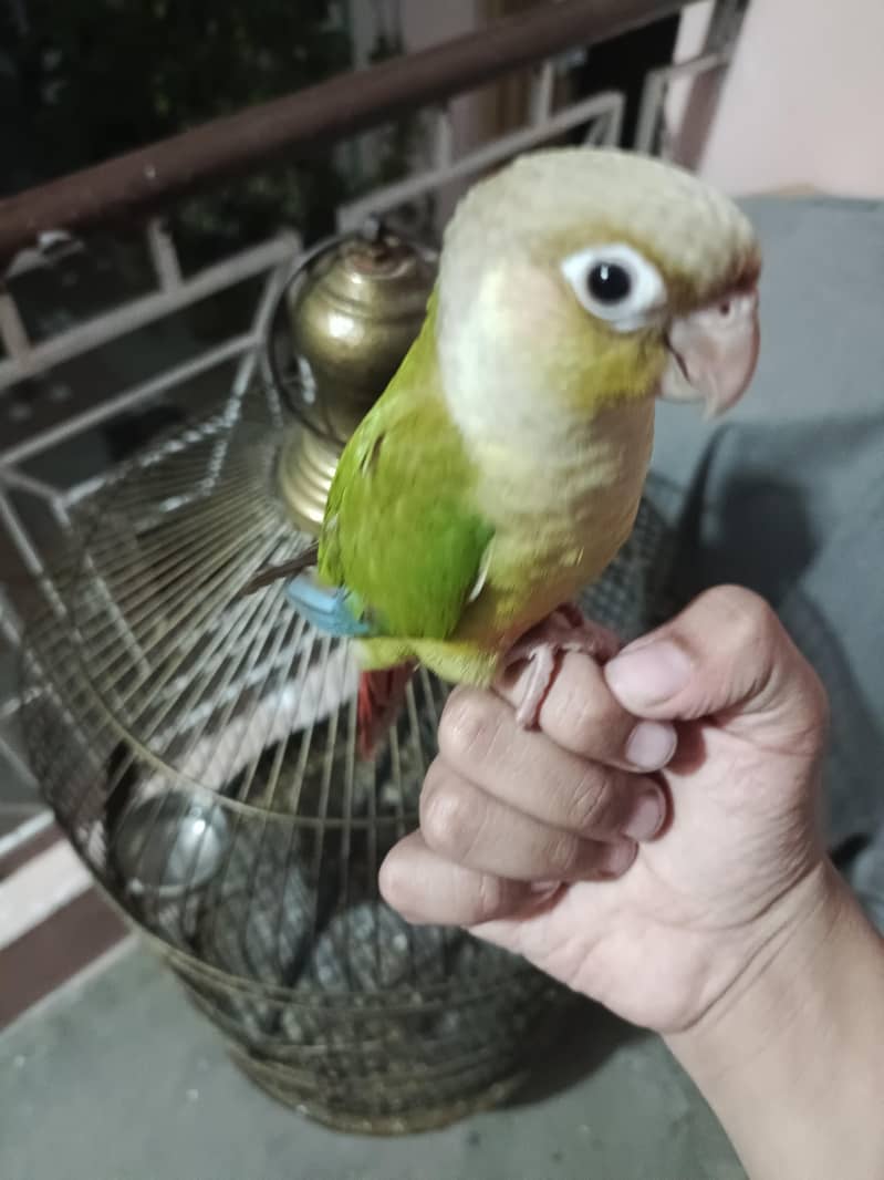 zero bite 1