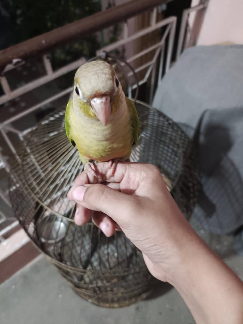 zero bite 2