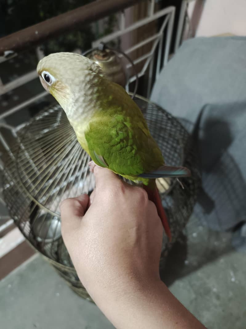 zero bite 3