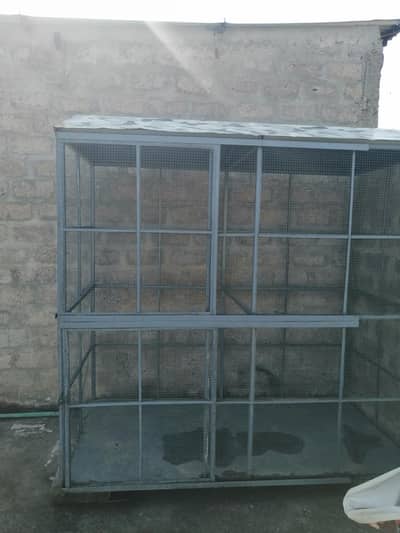 steel Cage