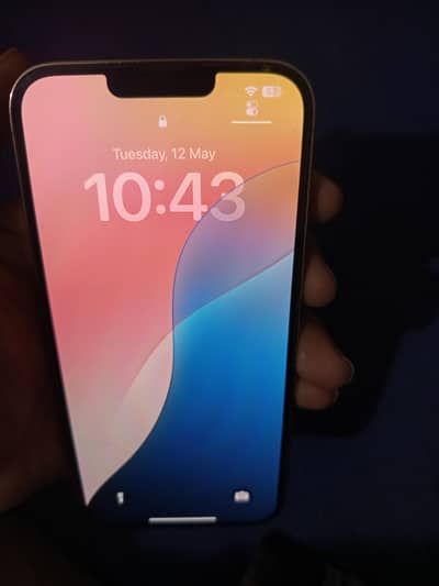 Apple iPhone 13 Pro Max