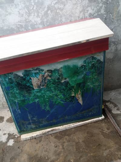 beautiful fish aquarium for sale