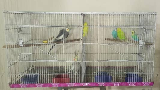 two pairs of bajari and one pair of Cocktail and cage