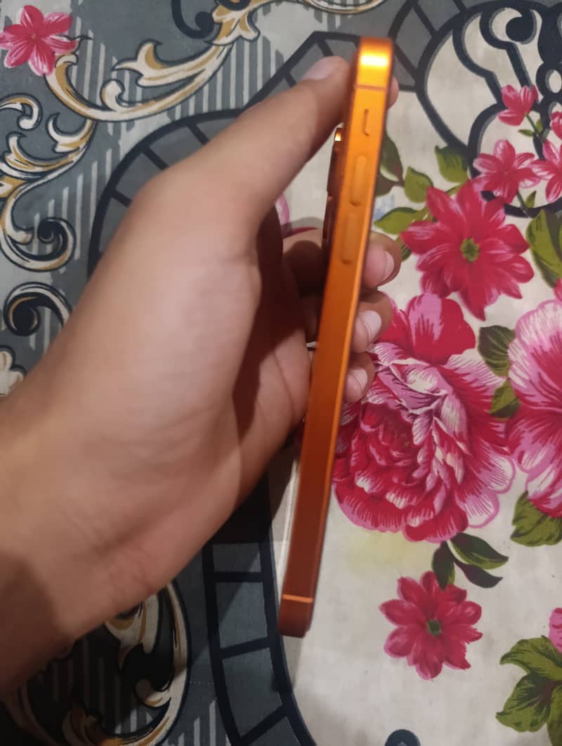 Converted into 17 pro 0
