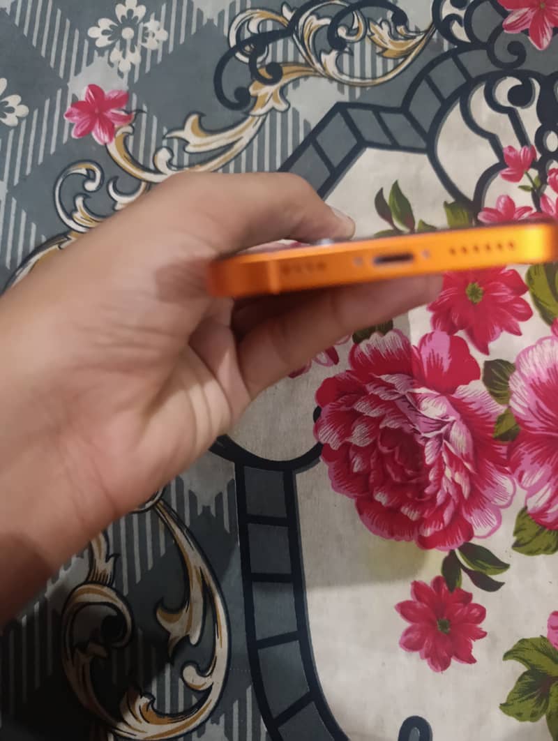 Converted into 17 pro 1