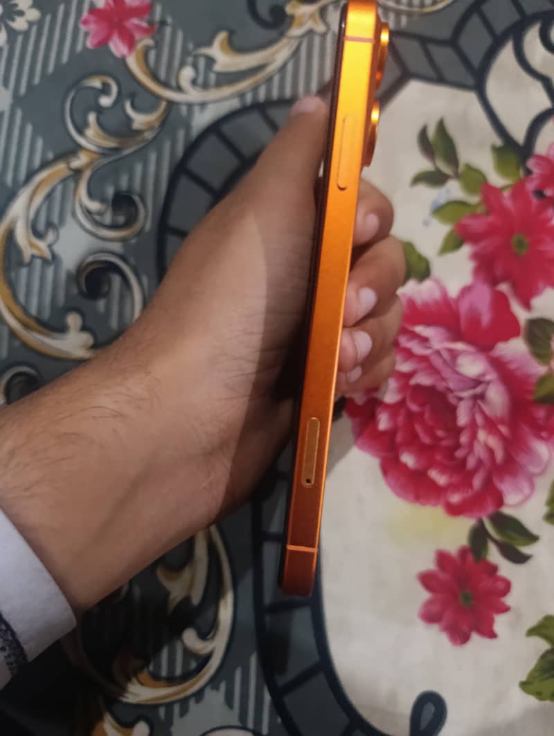 Converted into 17 pro 5