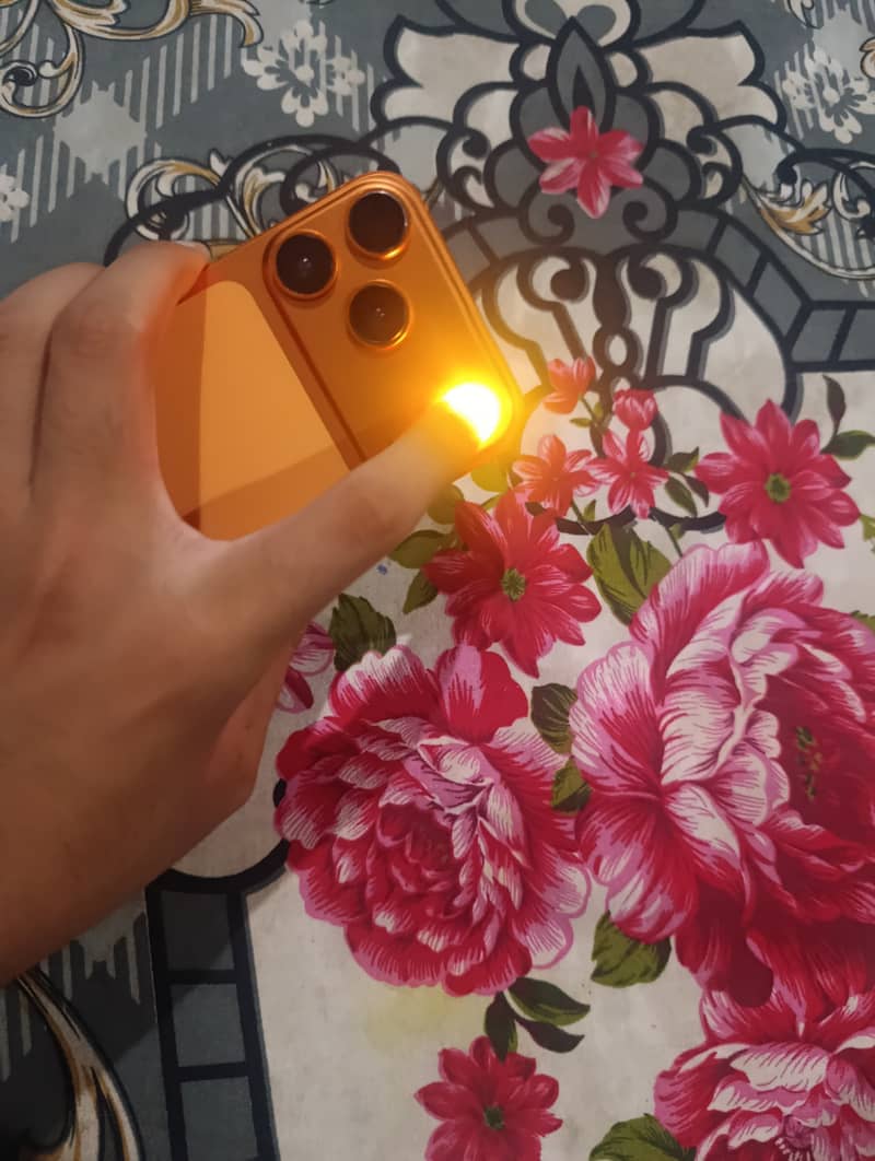 Converted into 17 pro 6