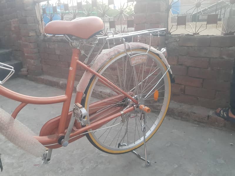 bicycle 1