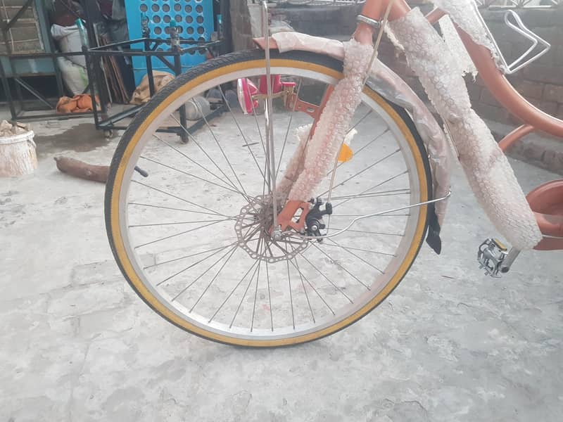 bicycle 2