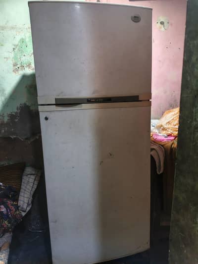 GLG fridge