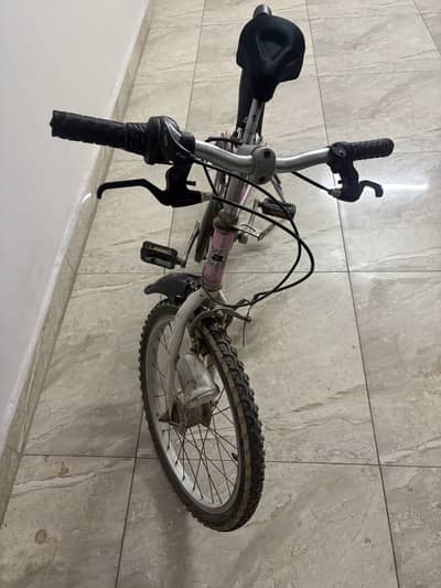 Peach 4 Speed girls bicycle