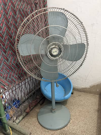 Pak Fan 24 inch Pedestal Fan.