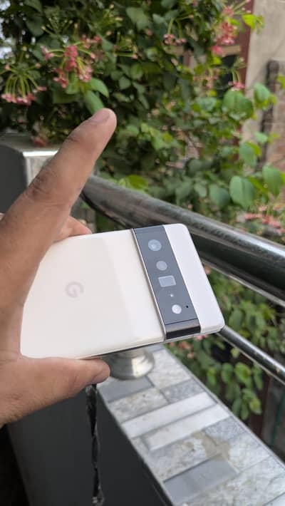 google pixel 6pro