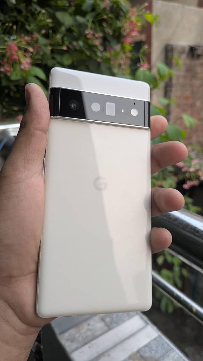 google pixel 6pro 1