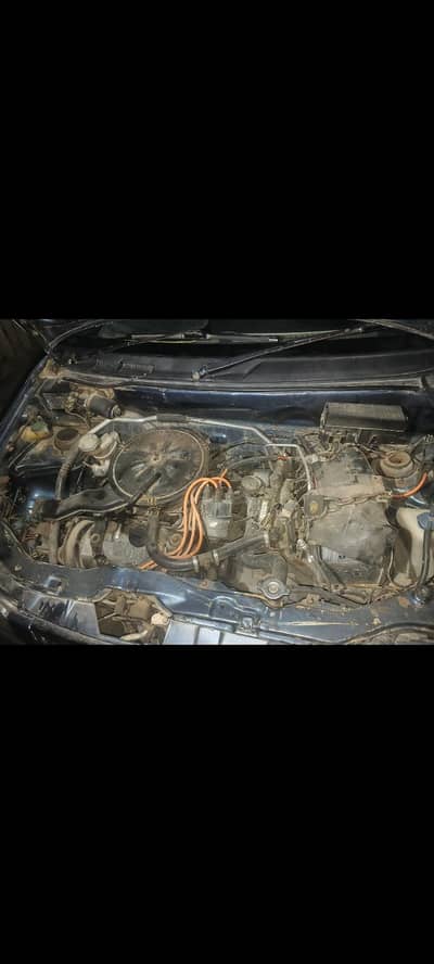 alto Vxr