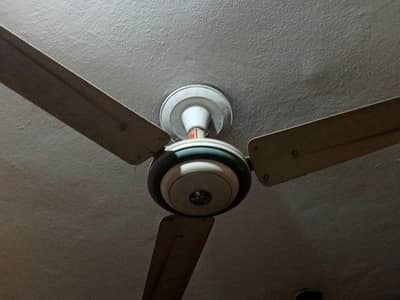 Japan fan 56"