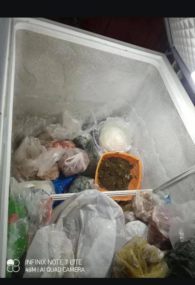 Deep Freezer 1