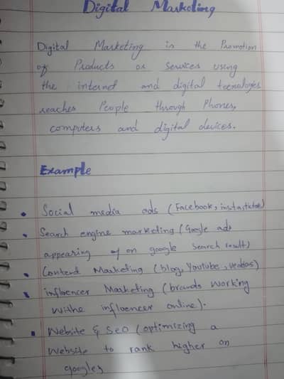 i an professional writer 