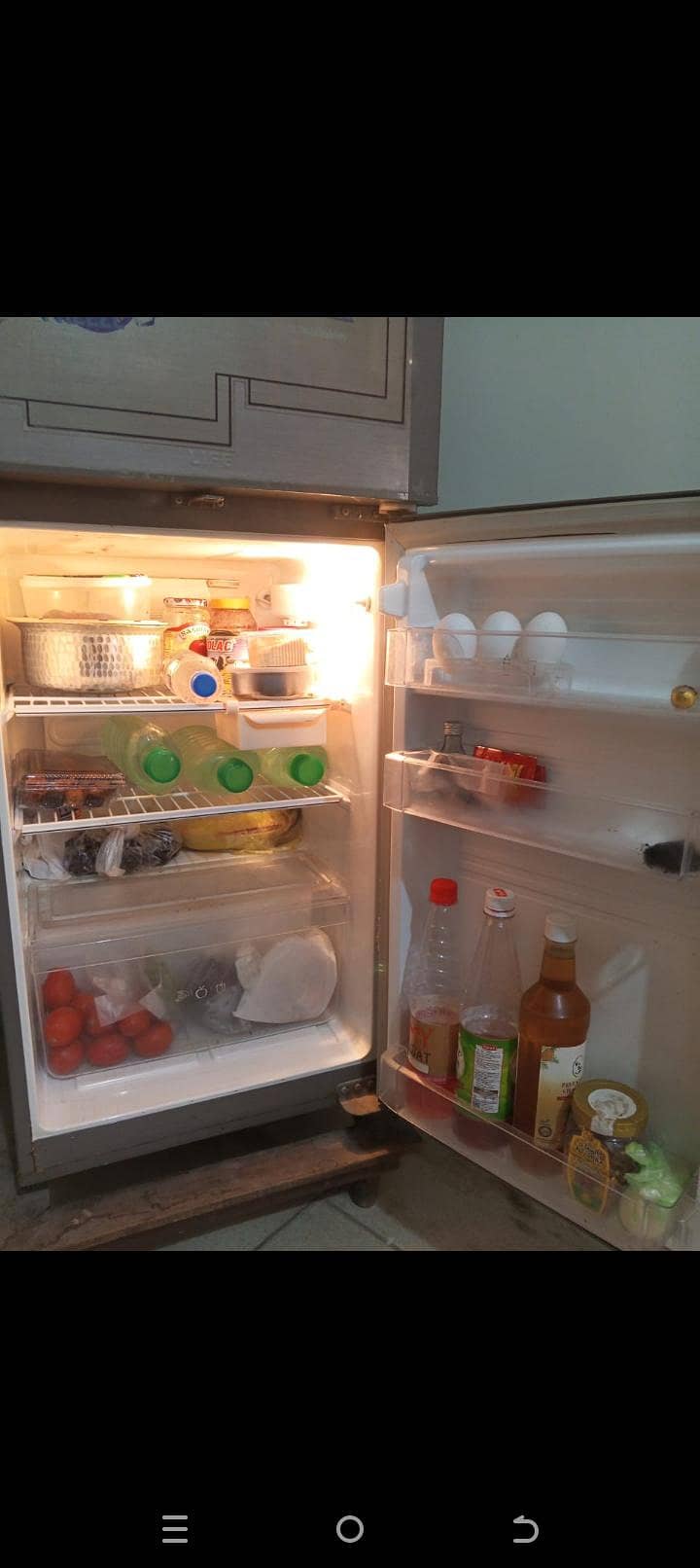 fridge 1