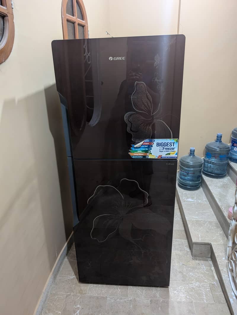 Gree freezer 1