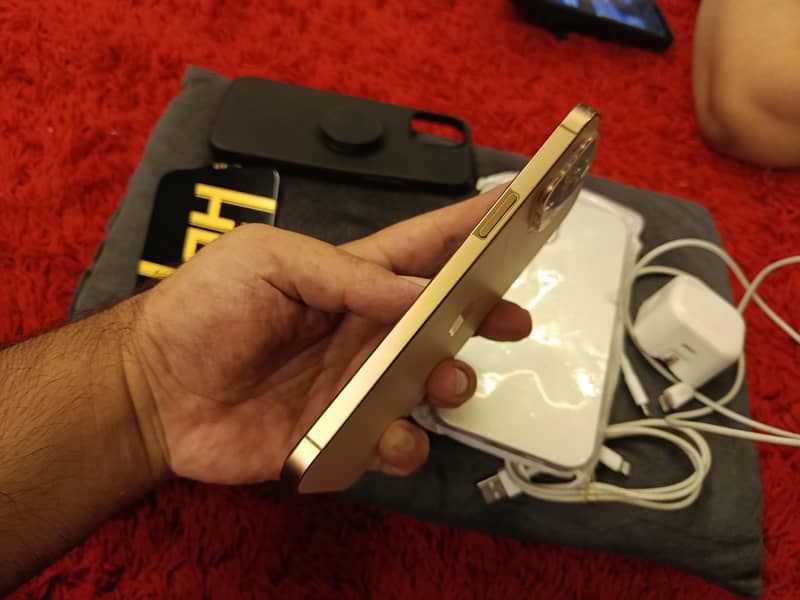 iphone 12 pro max 14