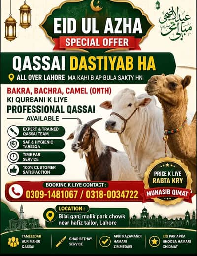 professsional qasai