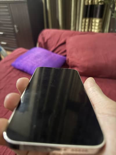 12 pro 128gb factory