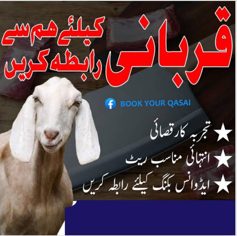 bakra eid py qasab available 0