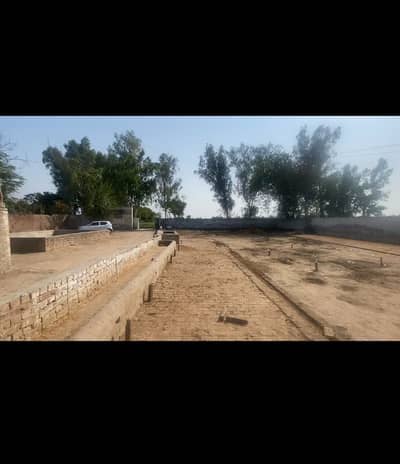 4 kanal dairy farm for rent