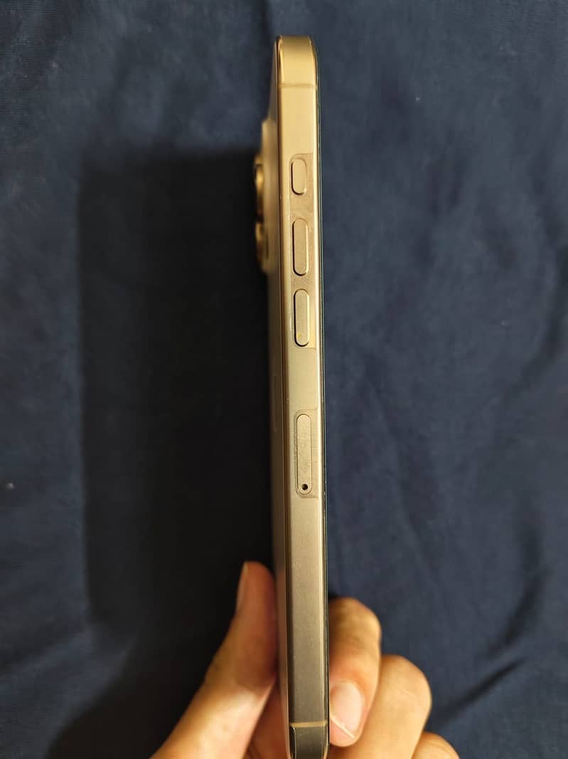 Apple iPhone 16 Pro Max 2