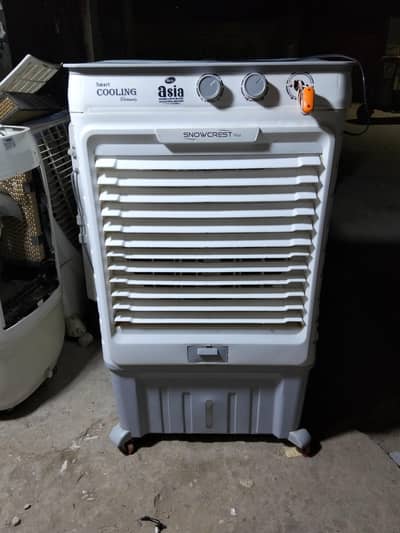 Asia Room Cooler 12V AC/DC