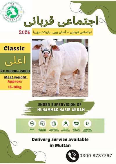 Ijtamai Qurbani