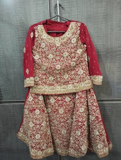 Bridal Lehenga | Festive/Party Wear Lehenga | Embroidered & Zari Work