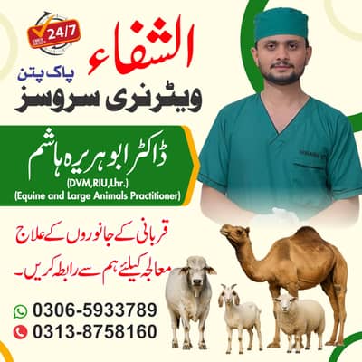 Al Shifa Veterinary services