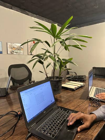 Email marketing job at our company
