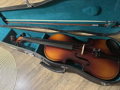 Professional violin (skylark) (4/4)