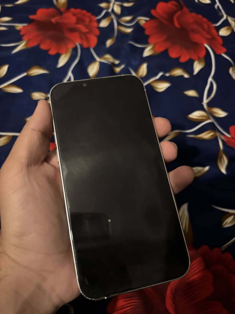 IPhone 13 Pro max 1