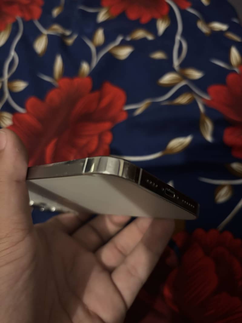 IPhone 13 Pro max 4