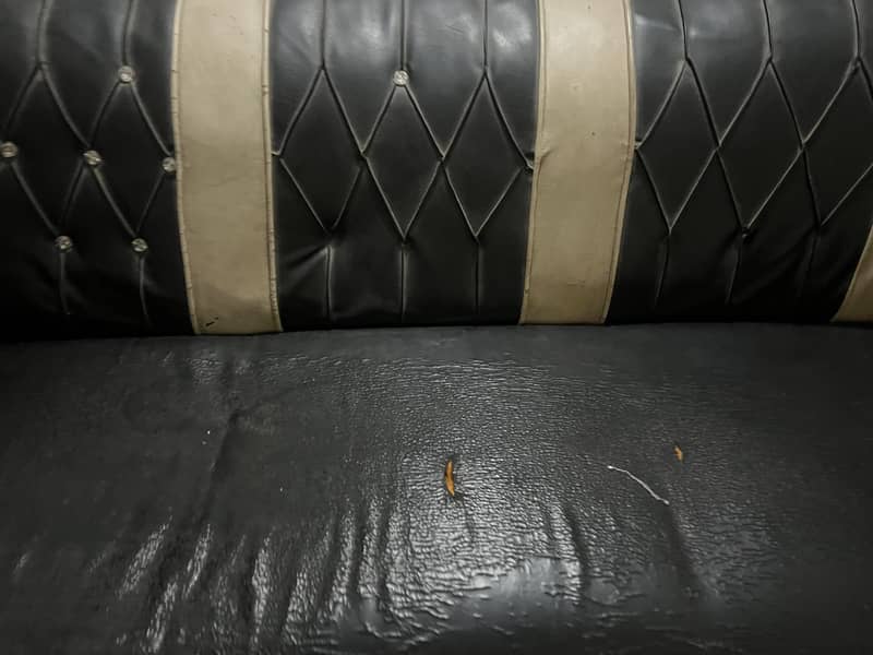 3 seeter sofa 3