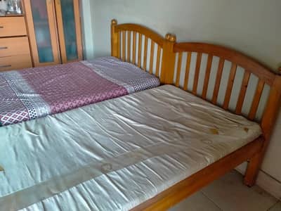 Single solid wood bed